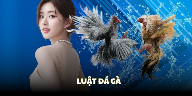 Luật đá gà 23Win