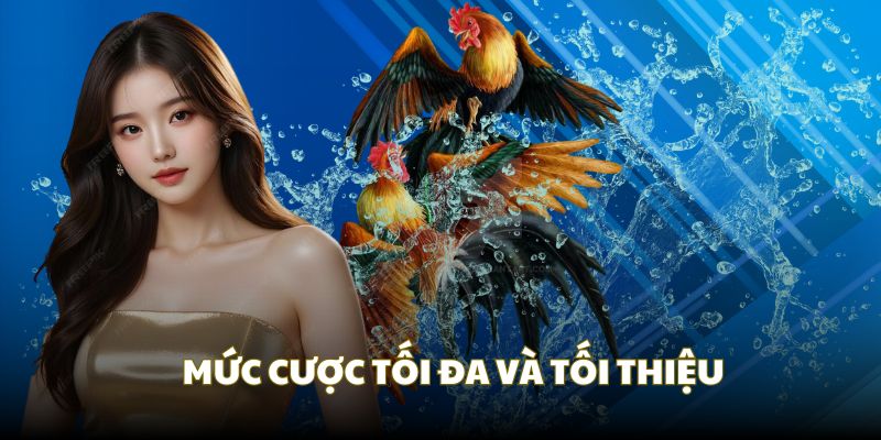 Đặt cược đúng với quy định tối đa và tối thiểu