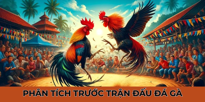 Mẹo chơi đá gà tuyệt đỉnh thông qua cách phân tích trước cuộc thi