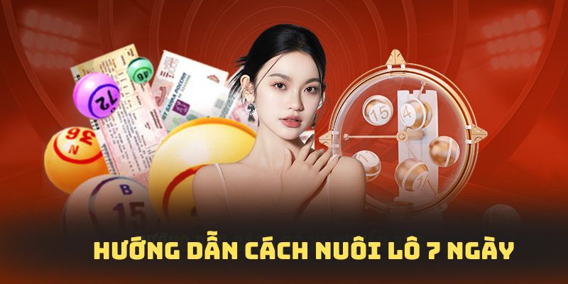 Hướng dẫn chi tiết cách nuôi lô bảy ngày chuẩn chuyên gia
