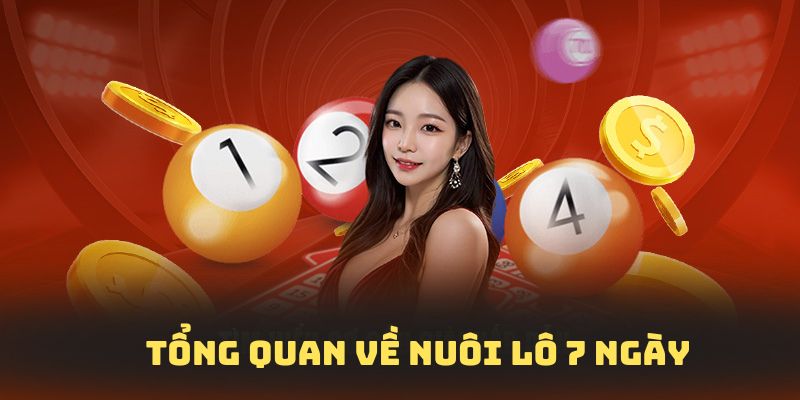 Tổng quan sơ lược chung về nuôi lô bảy ngày 
